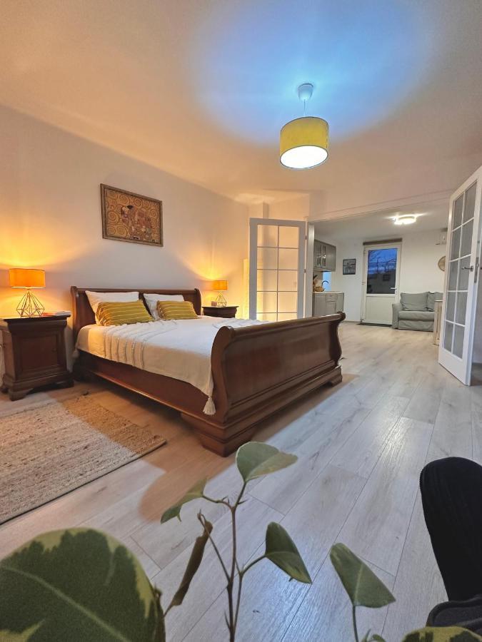 Apartamento Casa 9 Albeşti Exterior foto